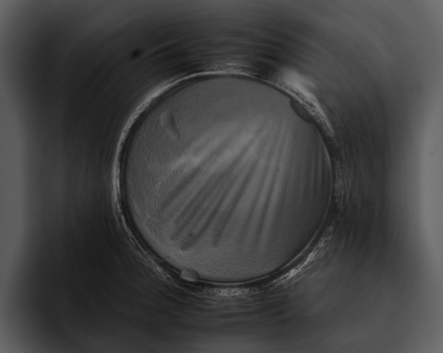 X0000095671188200801291131