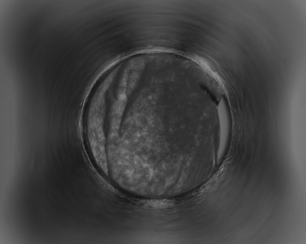 X0000095671189200801291130