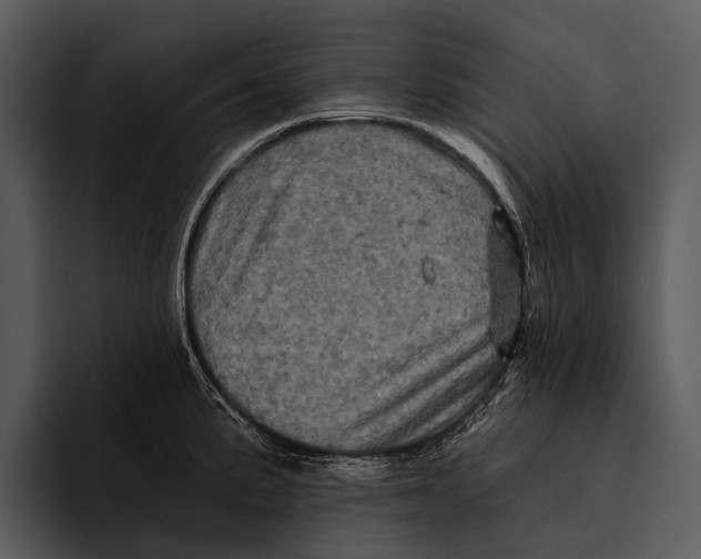 X0000095671191200801291130