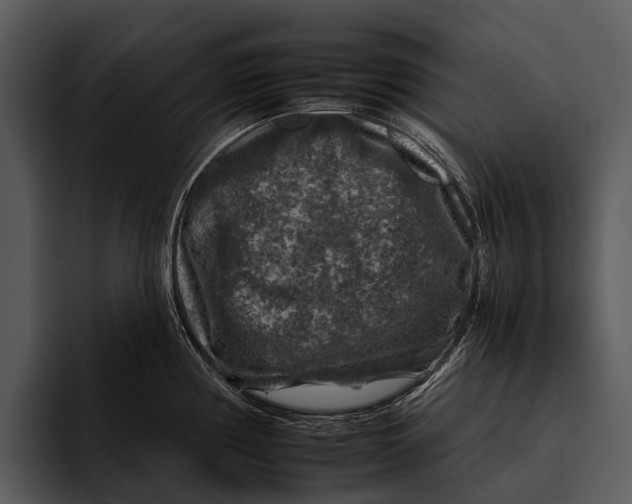 X0000095671194200801291130