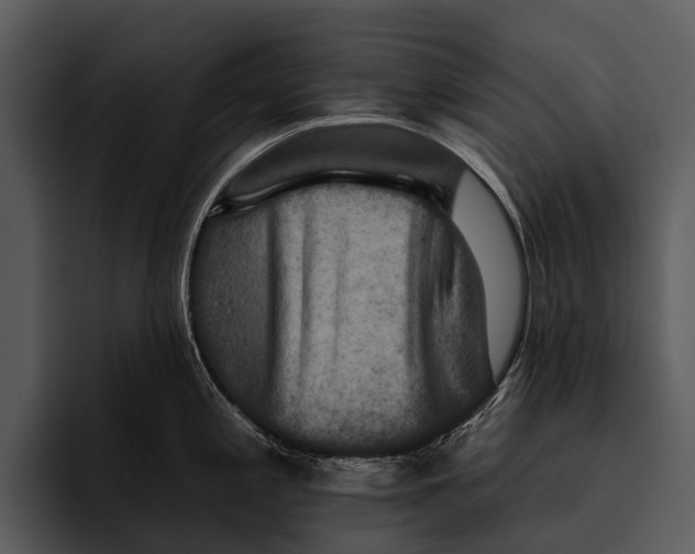 X0000095671197200801291130