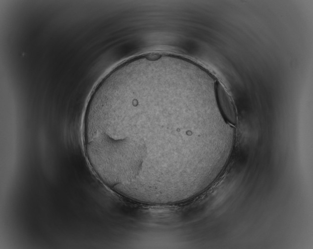 X0000095671199200801291130