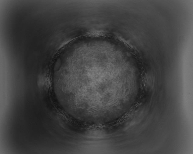 X0000095671206200801291130