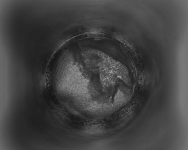 X0000095671208200801291130