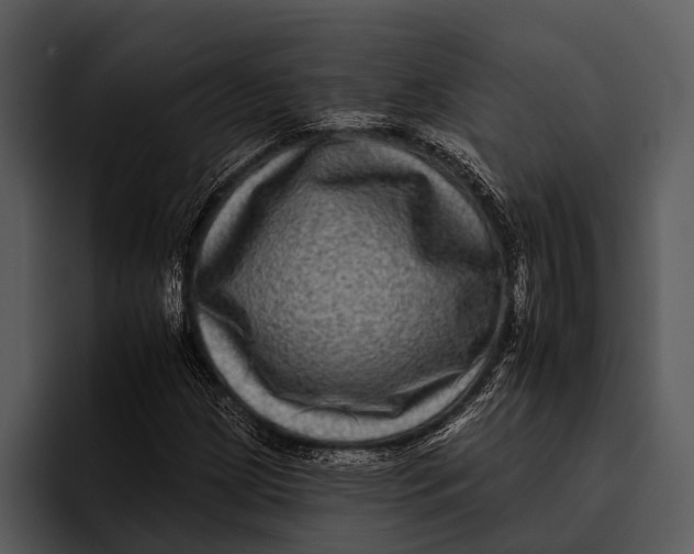 X0000095671209200801291130