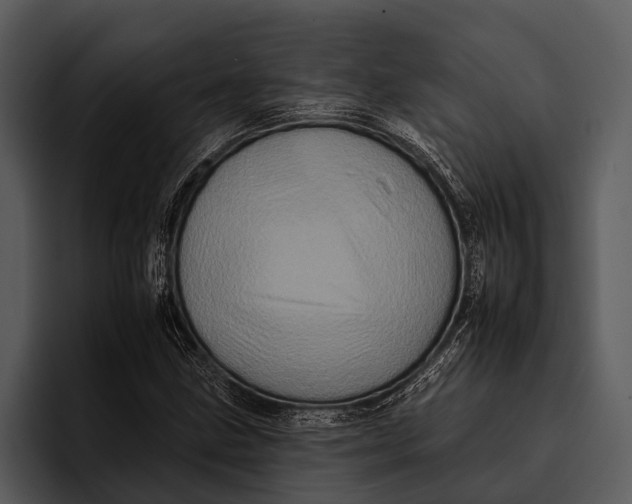 X0000095671211200801291130