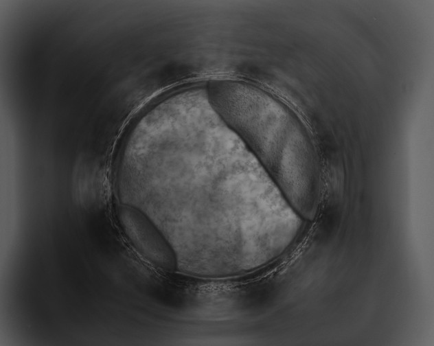 X0000095671212200801291130