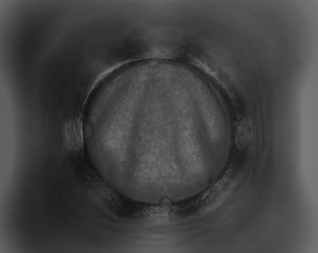 X0000095671214200801291130