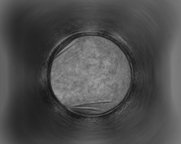 X0000095671216200801291130