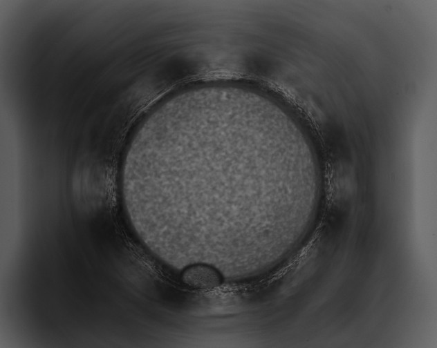 X0000095671217200801291130