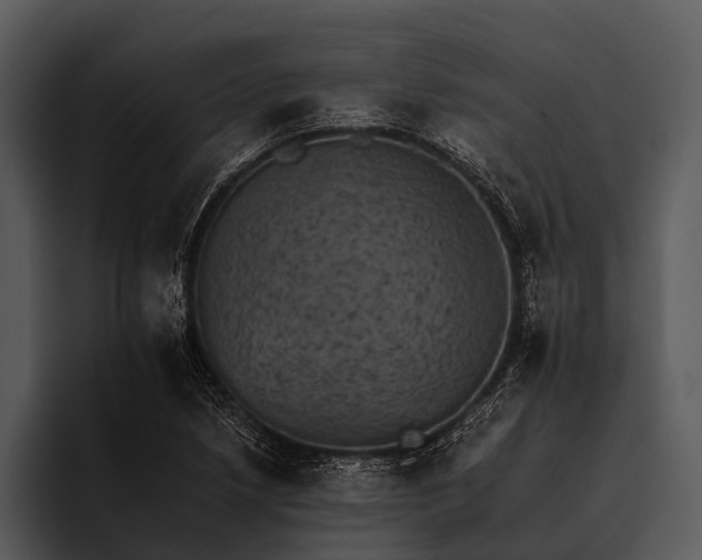 X0000095671218200801291130