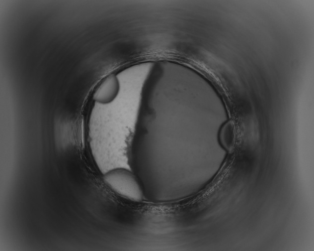 X0000095671219200801291130