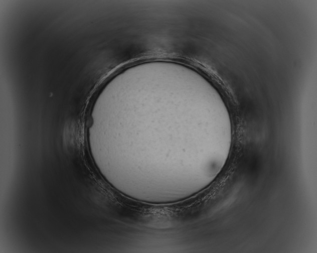 X0000095671220200801291130