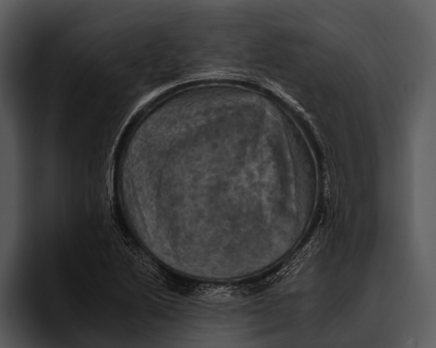 X0000095671222200801291130