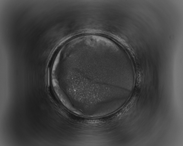 X0000095671223200801291130