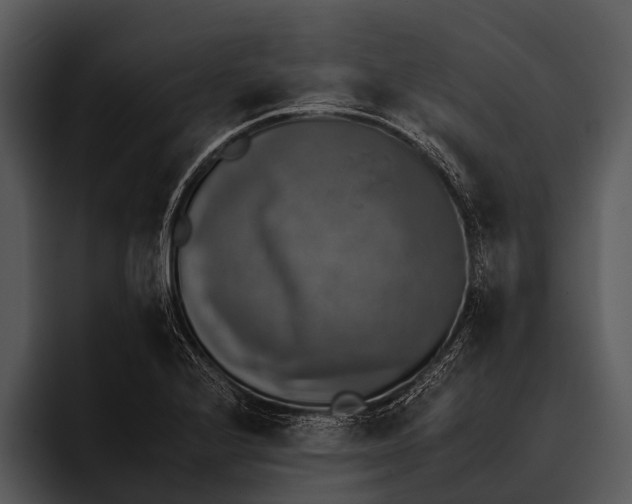 X0000095671224200801291130