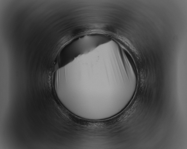 X0000095671225200801291130