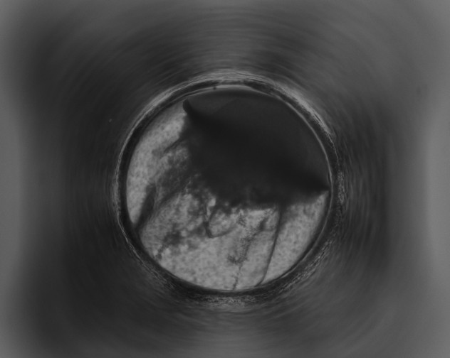 X0000095671229200801291130