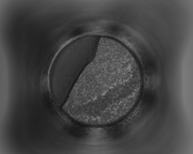 X0000095671230200801291130