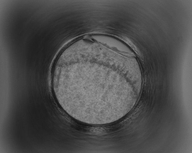 X0000095671232200801291130