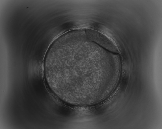 X0000095671234200801291130