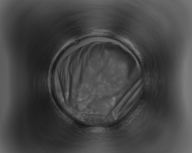 X0000095671235200801291130