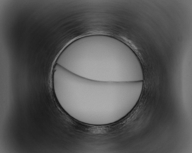 X0000095671236200801291130