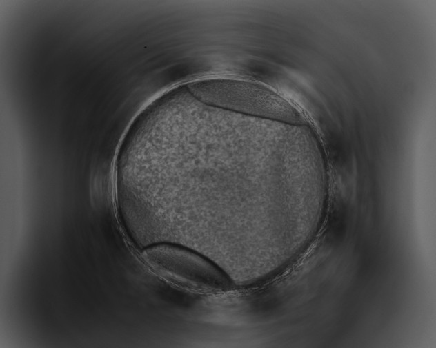 X0000095671238200801291130