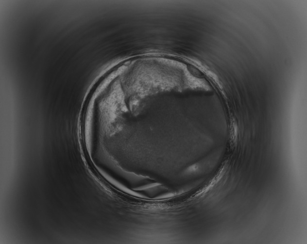 X0000095671239200801291130