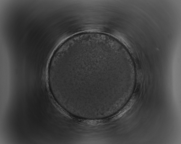 X0000095671240200801291130