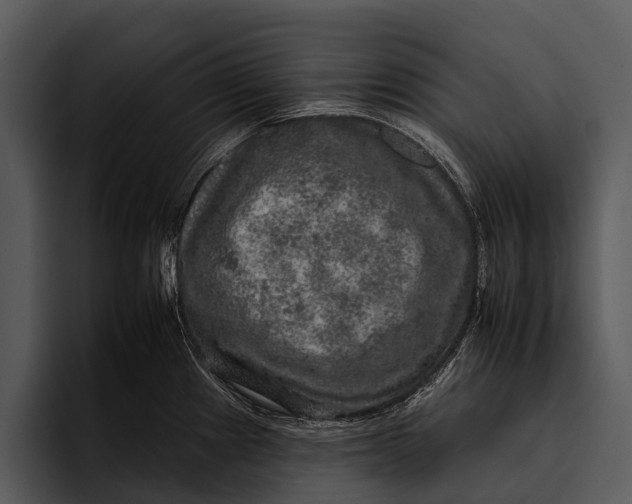 X0000095671241200801291130