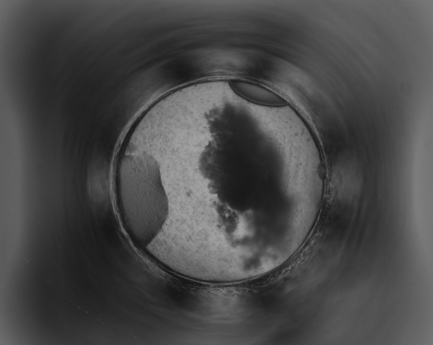 X0000095671243200801291130