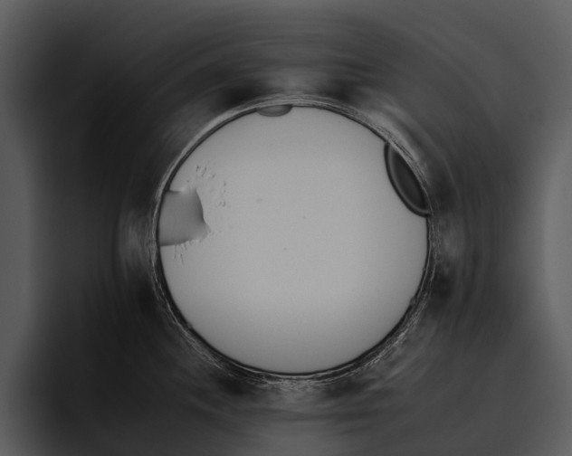 X0000095671244200801291130