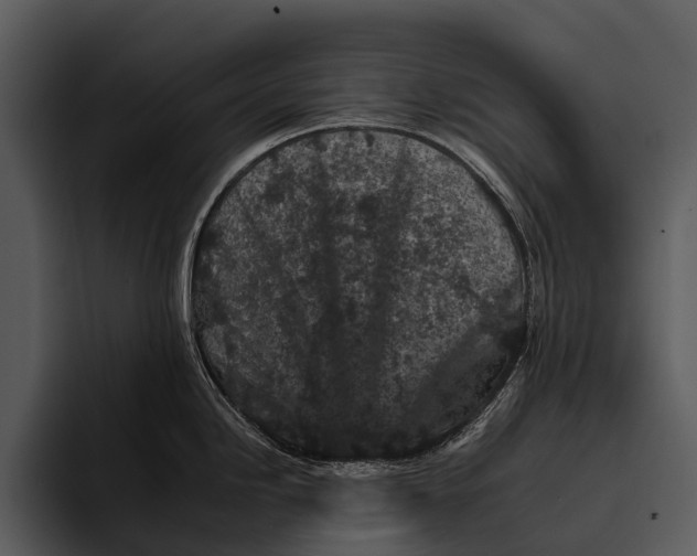 X0000095671246200801291130