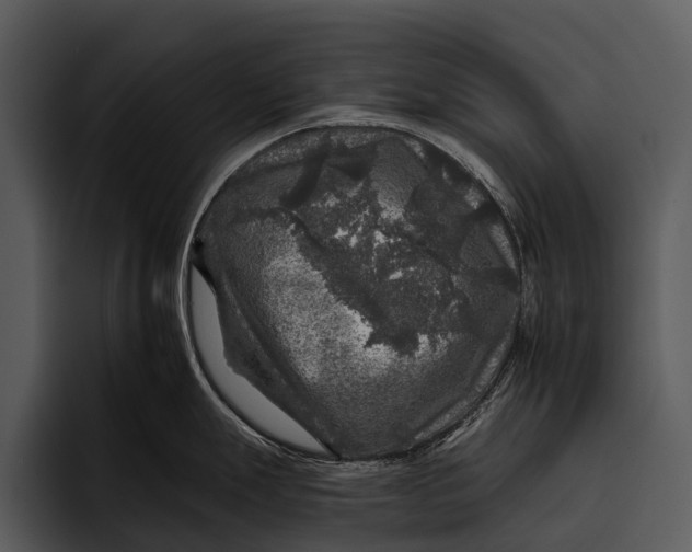 X0000095671247200801291130