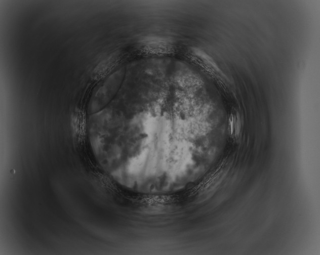 X0000095671251200801291130