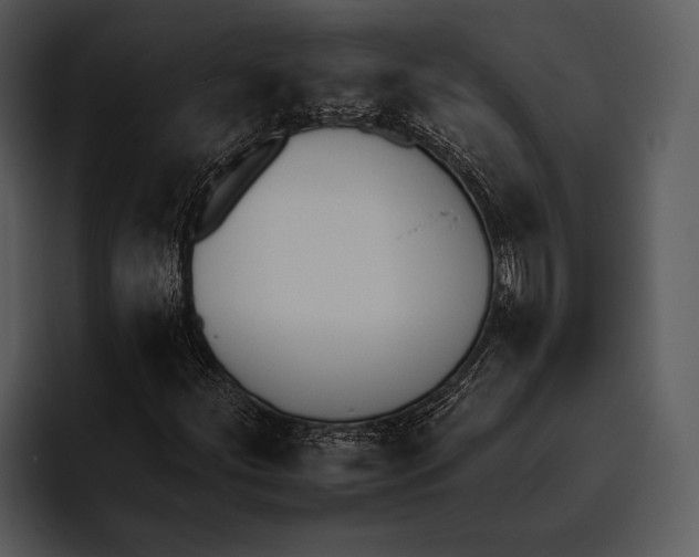 X0000095671252200801291130