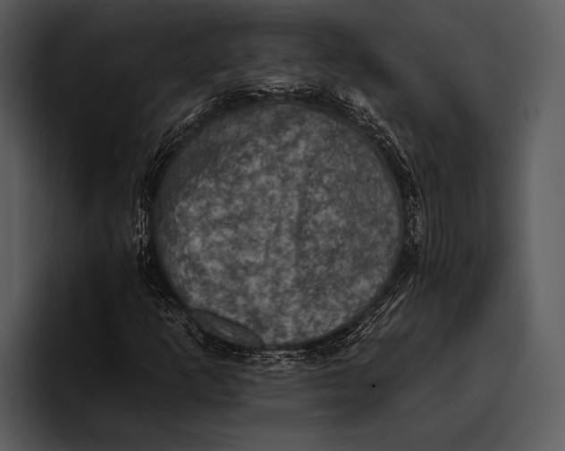 X0000095671253200801291130