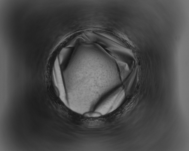 X0000095671256200801291130