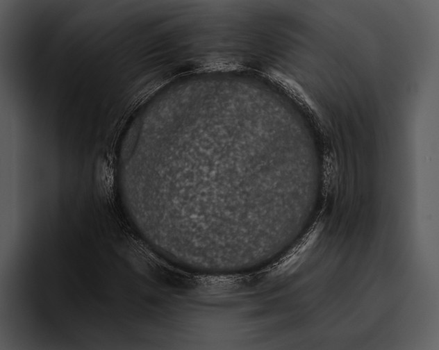 X0000095671257200801291130