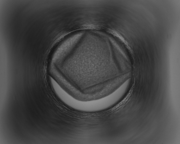 X0000095671259200801291130