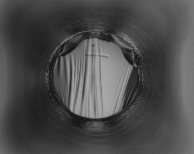 X0000095671260200801291130