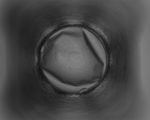 X0000095671261200801291130