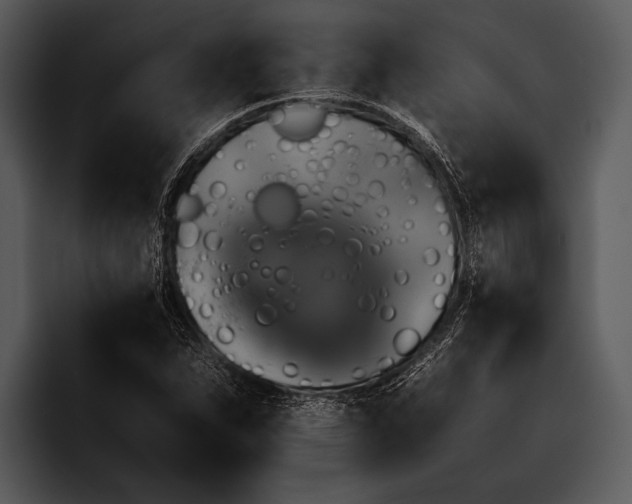 X0000095671263200801291130