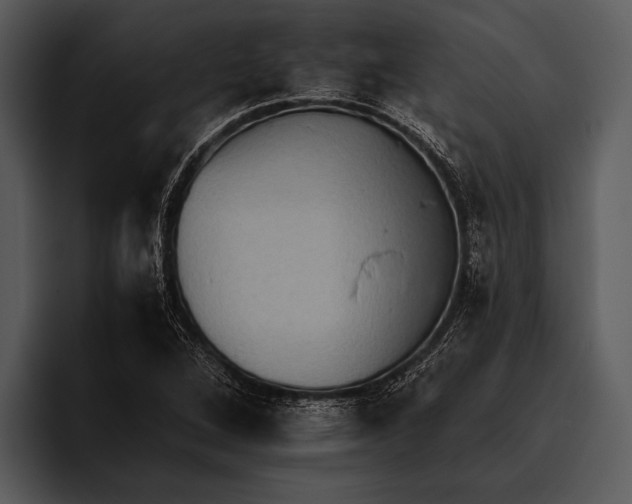 X0000095671264200801291130