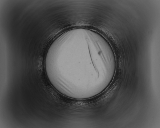 X0000095671265200801291130