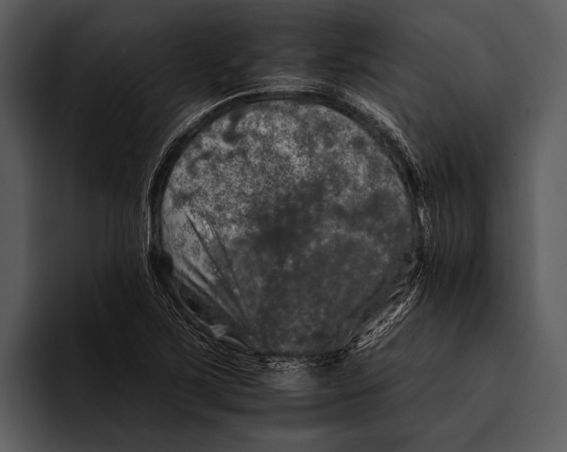 X0000095671267200801291129