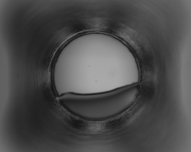 X0000095671268200801291129