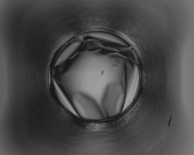 X0000095671269200801291129