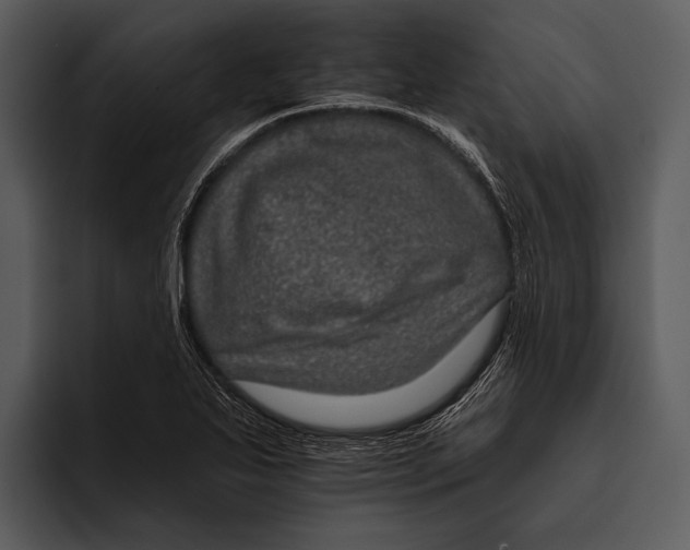 X0000095671271200801291129